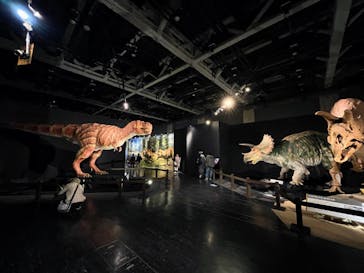 ティラノサウルス展 ～Ｔ. rex 驚異の肉食恐竜～（名古屋市科学館）に投稿された画像（2021/12/18）