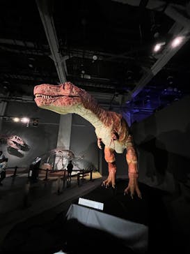 ティラノサウルス展 ～Ｔ. rex 驚異の肉食恐竜～（名古屋市科学館）に投稿された画像（2021/12/18）