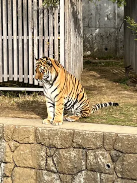 天王寺動物園に投稿された画像（2021/12/18）