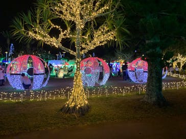 美らヤシパークオキナワ・東南植物楽園に投稿された画像（2021/12/18）