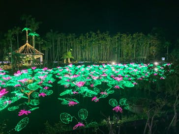 美らヤシパークオキナワ・東南植物楽園に投稿された画像（2021/12/18）