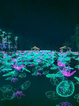 美らヤシパークオキナワ・東南植物楽園に投稿された画像（2021/12/18）