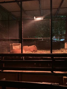 美らヤシパークオキナワ・東南植物楽園に投稿された画像（2021/12/18）