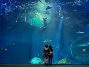 アクアワールド茨城県大洗水族館に投稿された画像（2021/12/18）