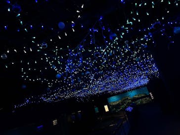 アクアワールド茨城県大洗水族館に投稿された画像（2021/12/18）