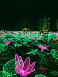 美らヤシパークオキナワ・東南植物楽園に投稿された画像（2021/12/19）