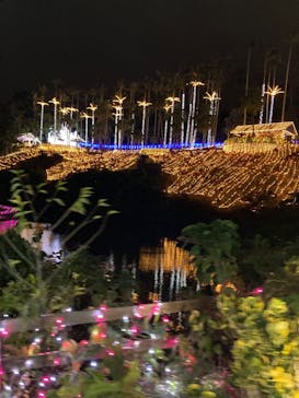 美らヤシパークオキナワ・東南植物楽園に投稿された画像（2021/12/18）