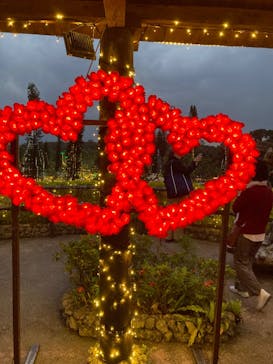 美らヤシパークオキナワ・東南植物楽園に投稿された画像（2021/12/18）