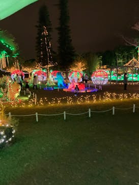 美らヤシパークオキナワ・東南植物楽園に投稿された画像（2021/12/18）