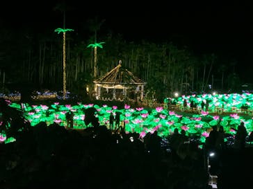 美らヤシパークオキナワ・東南植物楽園に投稿された画像（2021/12/18）