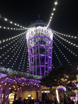 江の島シーキャンドルに投稿された画像（2021/12/18）