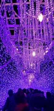 江の島シーキャンドルに投稿された画像（2021/12/18）