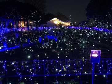 江の島シーキャンドルに投稿された画像（2021/12/18）