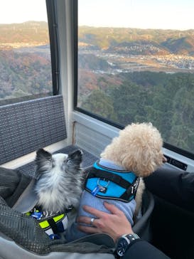 伊豆パノラマパークに投稿された画像（2021/12/18）