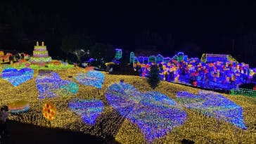 伊豆ぐらんぱる公園に投稿された画像（2021/12/18）
