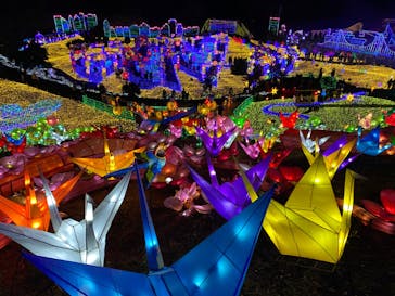 伊豆ぐらんぱる公園に投稿された画像（2021/12/18）