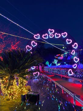 伊豆ぐらんぱる公園に投稿された画像（2021/12/18）