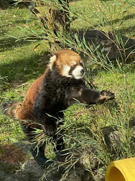 天王寺動物園に投稿された画像（2021/12/18）