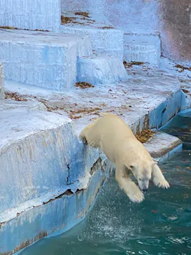天王寺動物園に投稿された画像（2021/12/18）