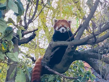 ひらかたパークに投稿された画像（2021/12/18）