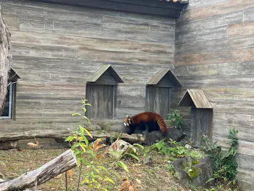 ひらかたパークに投稿された画像（2021/12/18）