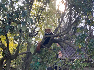 ひらかたパークに投稿された画像（2021/12/18）