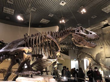 国立科学博物館に投稿された画像（2021/12/19）