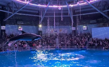 マクセル アクアパーク品川に投稿された画像（2021/12/19）