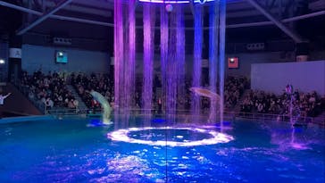 マクセル アクアパーク品川に投稿された画像（2021/12/19）