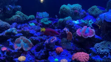 マクセル アクアパーク品川に投稿された画像（2021/12/19）