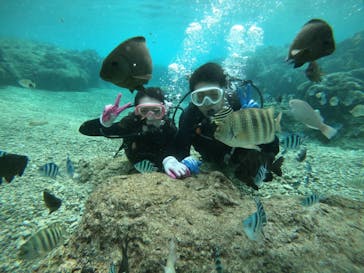 武藤潜水に投稿された画像（2021/12/19）