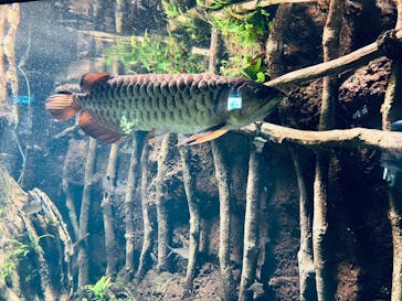 サンシャイン水族館に投稿された画像（2021/12/19）