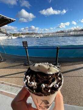 京都水族館に投稿された画像（2021/12/19）