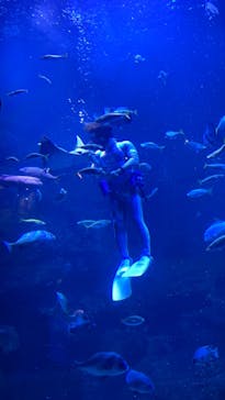 京都水族館に投稿された画像（2021/12/19）