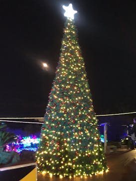 伊豆ぐらんぱる公園に投稿された画像（2021/12/19）