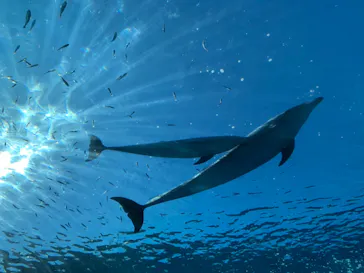 横浜・八景島シーパラダイスに投稿された画像（2021/12/19）
