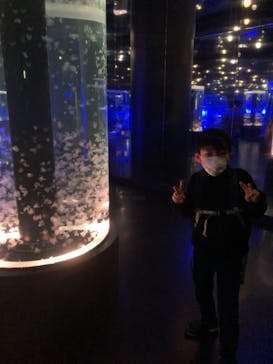 マクセル アクアパーク品川に投稿された画像（2021/12/19）