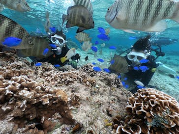 DIVING-SHOP SUNSに投稿された画像（2021/12/19）