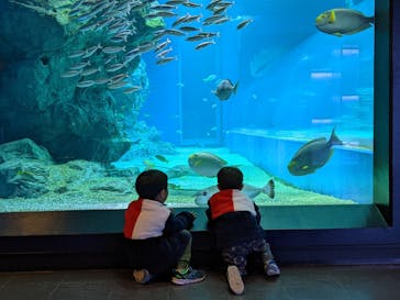 マクセル アクアパーク品川に投稿された画像（2021/12/19）