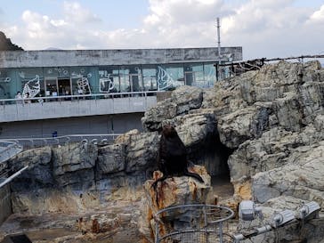 大分マリーンパレス水族館 「うみたまご」に投稿された画像（2021/12/19）