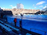 名古屋港水族館に投稿された画像（2021/12/19）