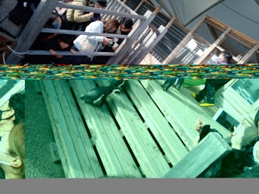 名古屋港水族館に投稿された画像（2021/12/19）