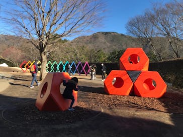 彫刻の森美術館に投稿された画像（2021/12/19）