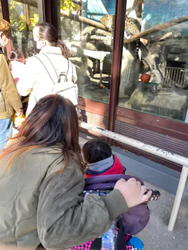 天王寺動物園に投稿された画像（2021/12/19）