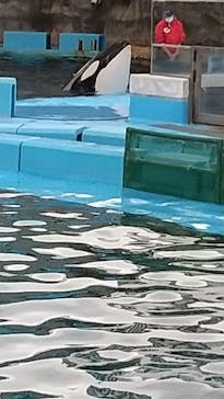 名古屋港水族館に投稿された画像（2021/12/19）