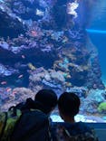 サンシャイン水族館に投稿された画像（2021/12/19）