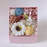 ずこうしつ〜sugamo〜に投稿された画像（2021/12/19）