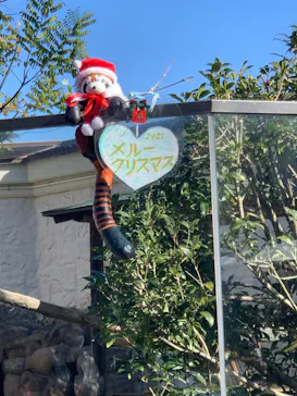 天王寺動物園に投稿された画像（2021/12/19）