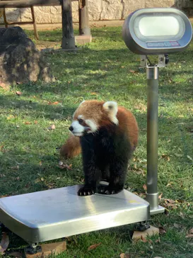 天王寺動物園に投稿された画像（2021/12/19）