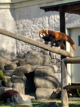 天王寺動物園に投稿された画像（2021/12/19）